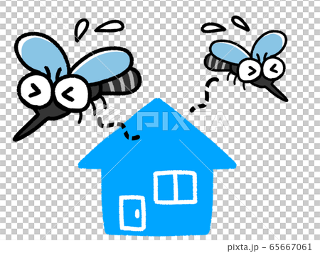 Two mosquitoes pest summer running away from home 65667061