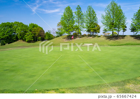 ゴルフ場 パッティンググリーン ゴルフ場 パッティンググリーン 65667424