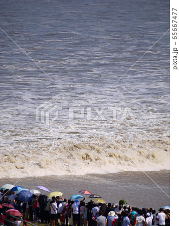 杭州　銭塘江の大逆流 65667477