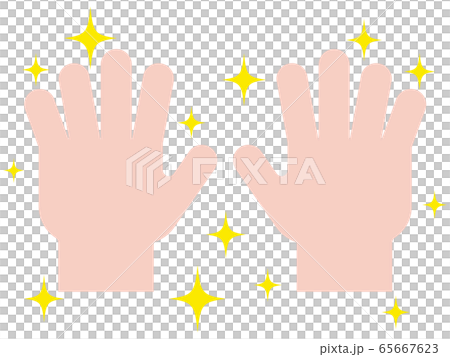 清潔な手 65667623