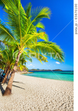 Beauty beach in Palawan island, Philippines Beauty beach in Palawan island, Philippines 65670100