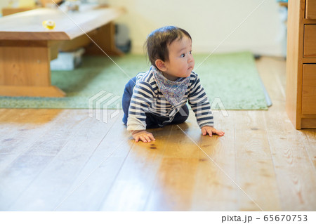 赤ちゃんと部屋 ハイハイの頃 赤ちゃんと部屋 ハイハイの頃 65670753