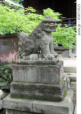 白山神社の狛犬 白山神社の狛犬 65671015