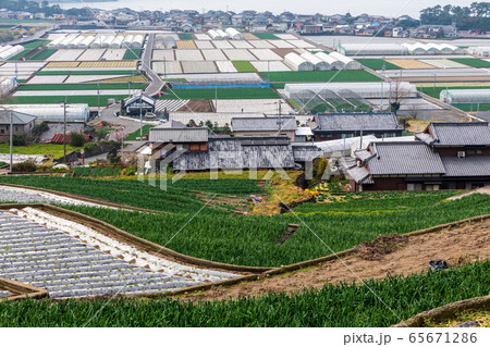 長崎・雲仙・千々石の畑作地帯 長崎・雲仙・千々石の畑作地帯 65671286