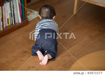 8ヶ月の男の子 ハイハイ 8ヶ月の男の子 ハイハイ 65671577