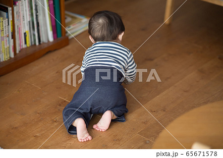 8ヶ月の男の子 ハイハイ 8ヶ月の男の子 ハイハイ 65671578