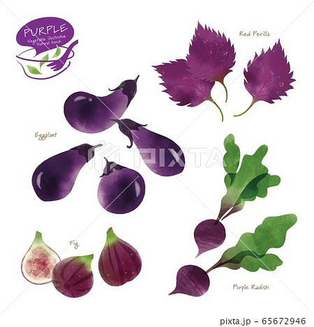 紫色の野菜のイラスト / アソート / 手描き風 65672946
