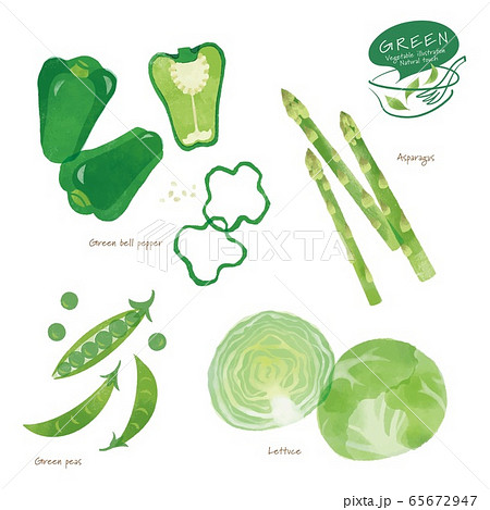 緑の野菜のイラスト アソート 手描き風のイラスト素材