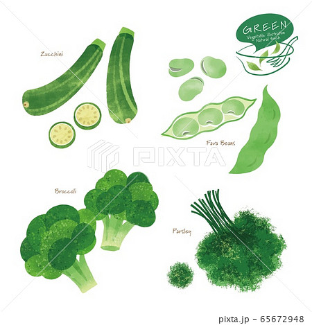 緑の野菜のイラスト アソート 手描き風のイラスト素材