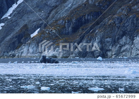 アラスカ州 海 海事 65672999