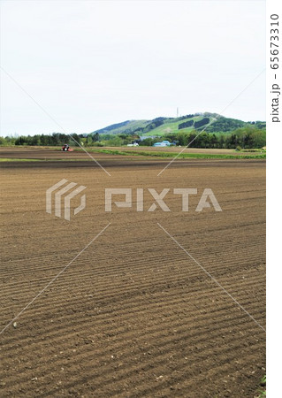 北海道の風景・4月の馬追山 北海道の風景・4月の馬追山 65673310