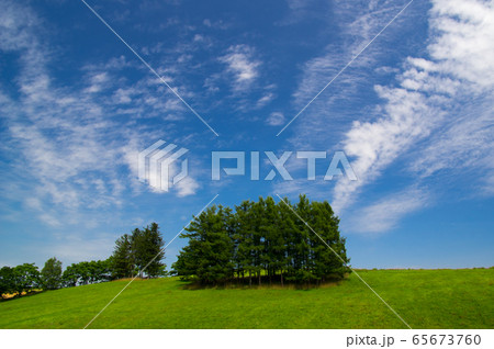 緑の丘と夏の空 65673760