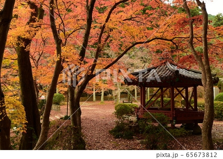 紅葉谷公園 六角亭 紅葉谷公園 六角亭 65673812