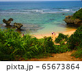 Landscape of tropical coast and sunny sky  65673864