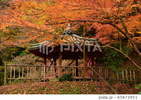紅葉谷公園 六角亭 紅葉谷公園 六角亭 65673951