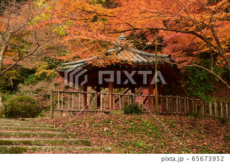 紅葉谷公園 六角亭 紅葉谷公園 六角亭 65673952