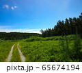 green nature, road, and clear blue sky in summer 65674194