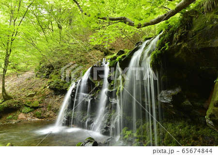 【兵庫県　新温泉町】猿壺の滝 65674844