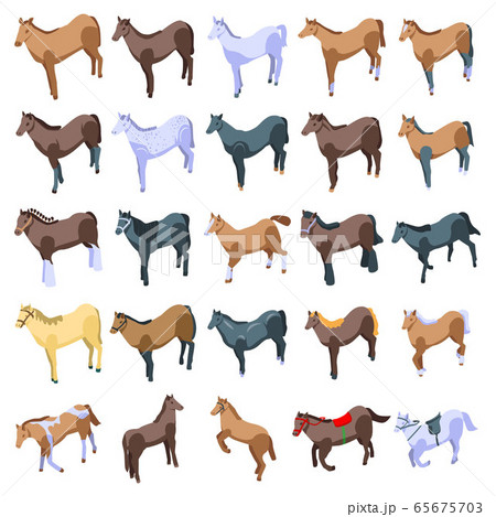 Horse icons set, isometric style Horse icons set, isometric style 65675703