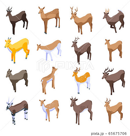 Deer icons set, isometric style Deer icons set, isometric style 65675706