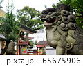 神社境内の狛犬 65675906