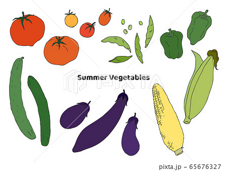 夏のいろんな野菜の素材イラストのイラスト素材