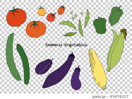 夏のいろんな野菜の素材イラストのイラスト素材