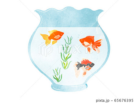 金魚と金魚鉢の素材イラスト 水彩 のイラスト素材