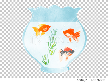 金魚和魚缸(水彩)的材料插圖 金魚和魚缸(水彩)的材料插圖 65676395