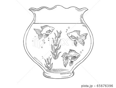 金魚と金魚鉢の素材イラスト 線画 のイラスト素材