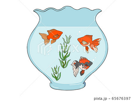 金魚と金魚鉢の素材イラストのイラスト素材