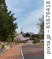春 桜 空 65676418