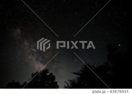 戦場ヶ原に昇るいて座とさそり座 65676935