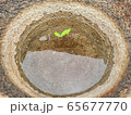 うす 韓国 田舎 65677770