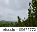 うす 韓国 田舎 65677772