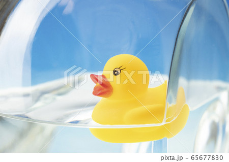 水に浮かぶアヒルのおもちゃ 65677830