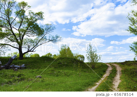 Beautiful spring landscape with a dirt road. Sunny Beautiful spring landscape with a dirt road. Sunny 65678514