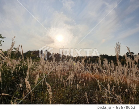 フル 自然 雲 65678652