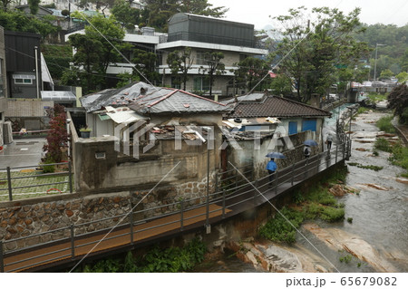 水 滝 生態系 65679082