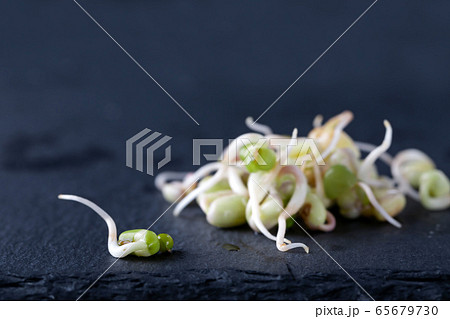 Pile of young sprouts of seeds macro on dark 65679730
