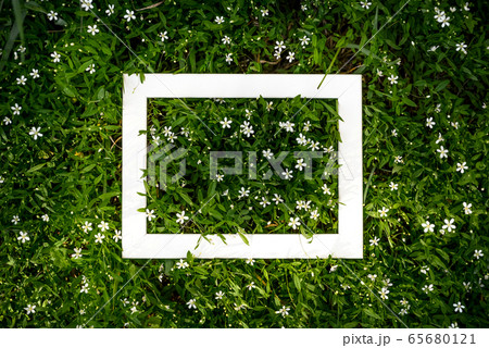 Creative green floral background of natural leaves and meadow grass with white frame copy space Creative green floral background of natural leaves and meadow grass with white frame copy space 65680121