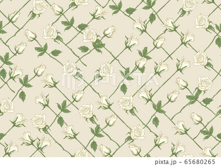 White roses seamless pattern, background. White roses seamless pattern, background. 65680265