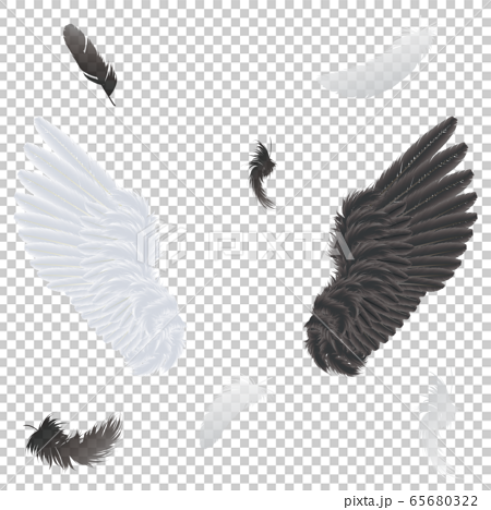 白い羽と黒い羽のイラスト素材