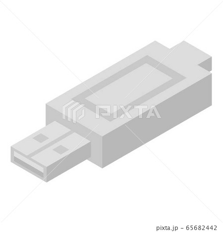 Usb laptop adapter icon, isometric style 65682442