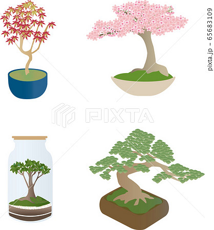 紅葉 桜 松 瓶入り植物など盆栽四種類のイラスト素材