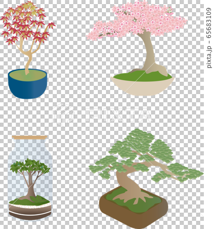 Four types of bonsai such as autumn leaves, cherry blossoms, pine trees, bottled plants 65683109