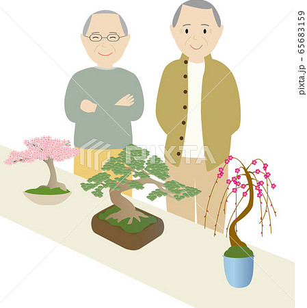 桜松梅の盆栽を鑑賞する男性二人のイラスト素材