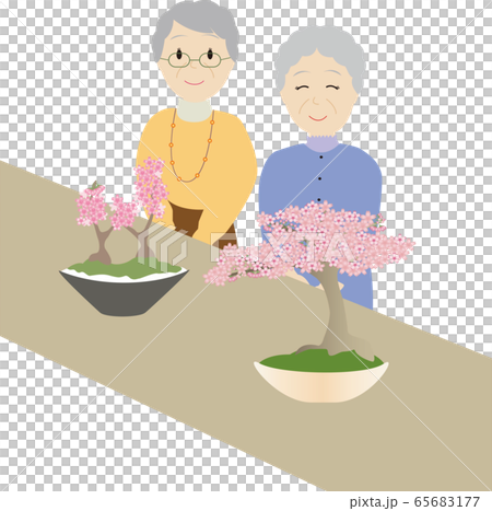 桜盆栽で花見をする女性二人のイラスト素材 桜盆栽で花見をする女性二人のイラスト素材