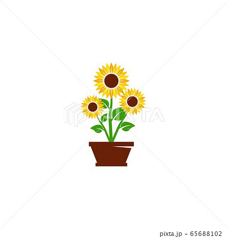 sunflower vector icon design 65688102