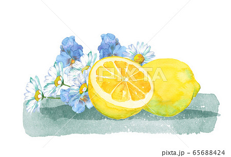 レモンと花束のイラスト素材